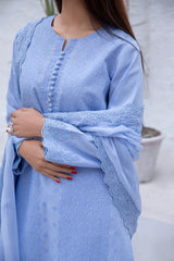 Ramzan Collection '24 .03 - Parniyaan-clothing