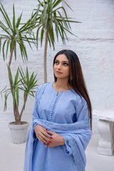Ramzan Collection '24 .03 - Parniyaan-clothing