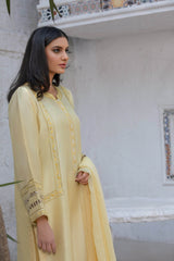 PBA-0010 Ramazan Collection - Parniyaan-clothing