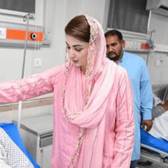 PBA0036 - Parniyaan-clothing