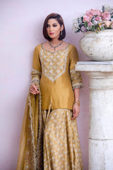 Phooli Sarson - Parniyaan-clothing