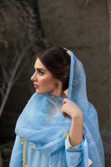 Royal Allure - Parniyaan-clothing