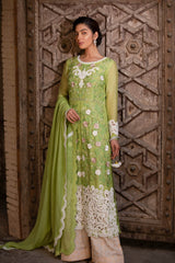 Ranunculus - Parniyaan-clothing